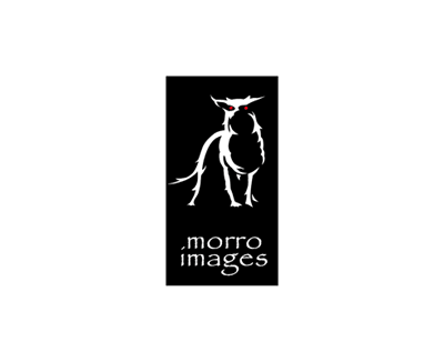 morro images | Innovate Niagara 